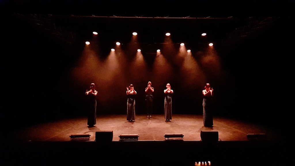 Photo 29 - Flamenco